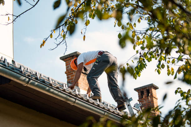 Best Roof Restoration Services  in Cambridge Springs, PA