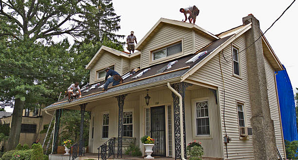 Best Roof Repair Specialists  in Cambridge Springs, PA