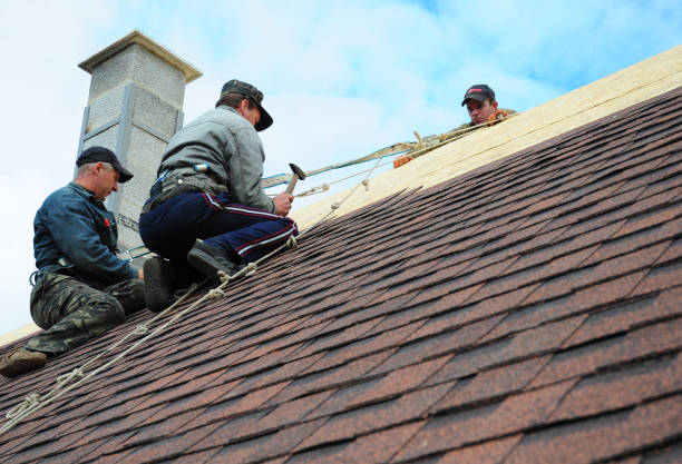 Best Roof Leak Repair  in Cambridge Springs, PA